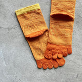 9-1151|ラミー&ビスコース 5本指アンクル