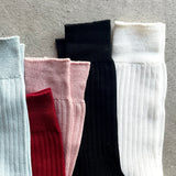 4-1002|Organic Cotton Ribbed Socks
