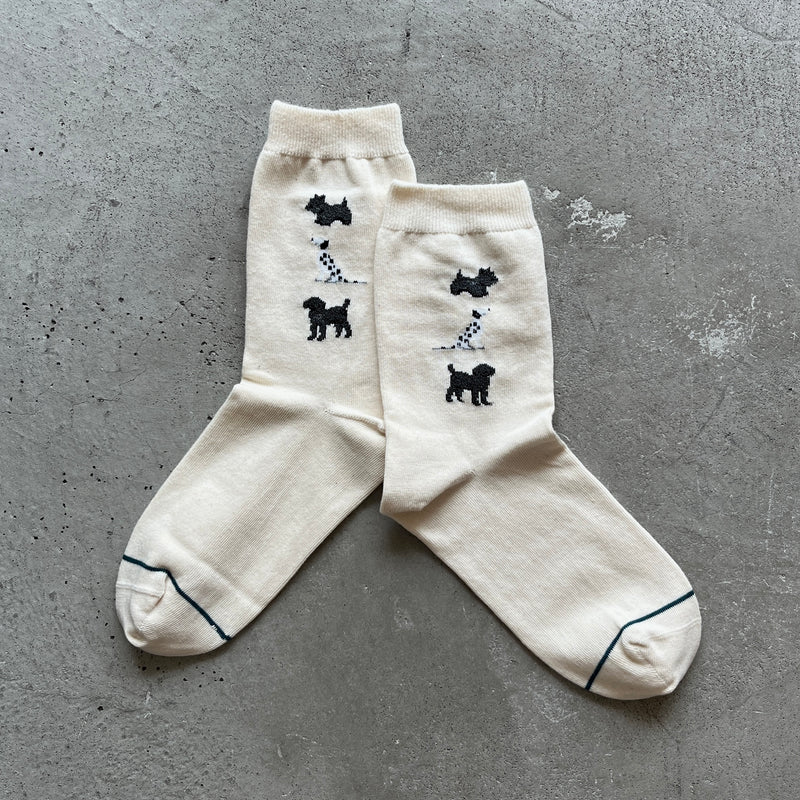 4-4017｜Organic Cotton Dogs Socks